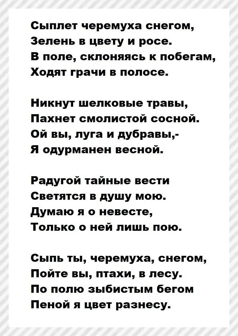 Стих сыплет черемуха снегом Есенин. Стих Есенина сыплет черёмуха снегом. Стихотворение сыплет черемуха снегом Есенин.