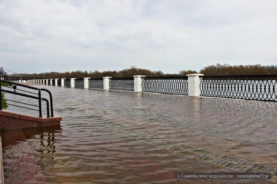 Уровень воды смоленск сож. Гомель затопило апрель 2023. Паводок Гомель 2023. Гомель наводнение. Половодье в Гомеле набережная.