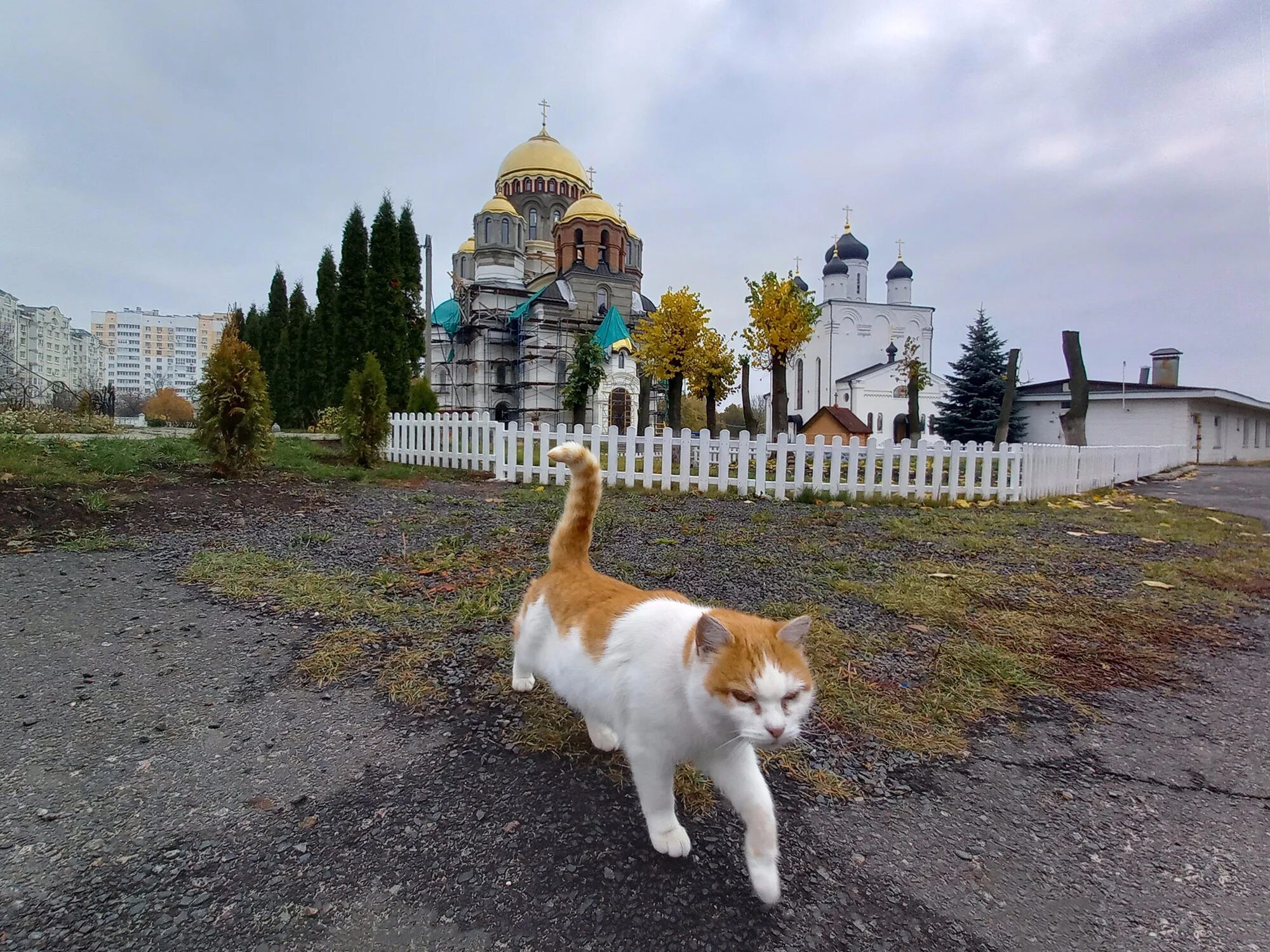 Свято успенский орел. Свято-Успенский монастырь (орёл). Свято Успенский монастырь города орла. Свято-Успенский мужской монастырь Орловской епархии. Свято-Успенский мужской монастырь Красноярск.