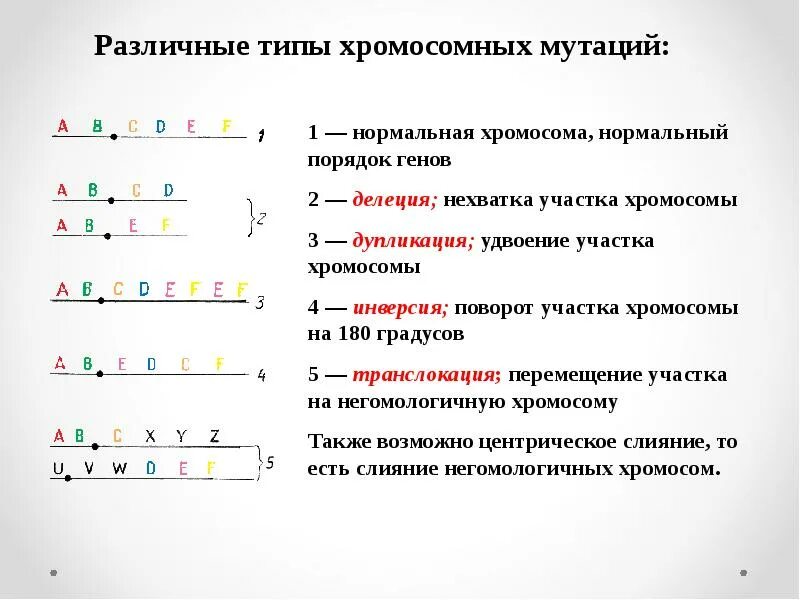 Различные типы хромосомных мутаций. Определить Тип хромосомной мутации. Типы хромосомных мутаций схема. Хромосомные мутации схема. Изменения в генах происходят в результате