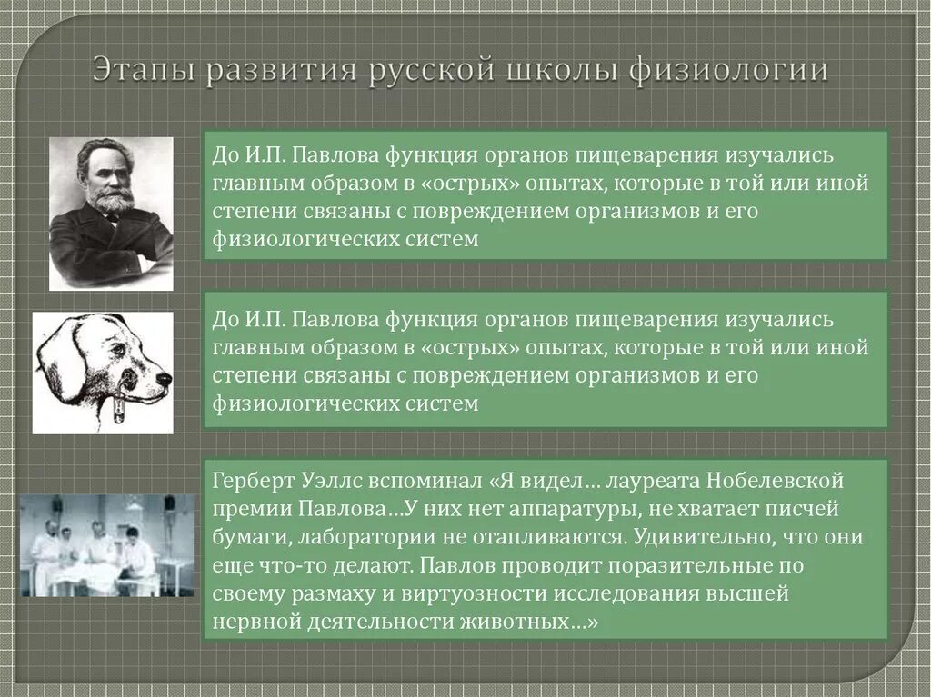 Этапы развития физиологии. Исторические этапы развития физиологии. Основные этапы её развития физиологии.. Этапы развития ВНД физиология.