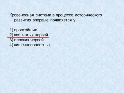 Впервые в эволюции кровеносная система появляется у