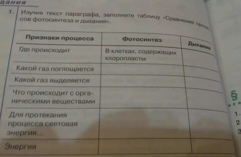 Заполните таблицу фотосинтез 6 класс биология - 36/48