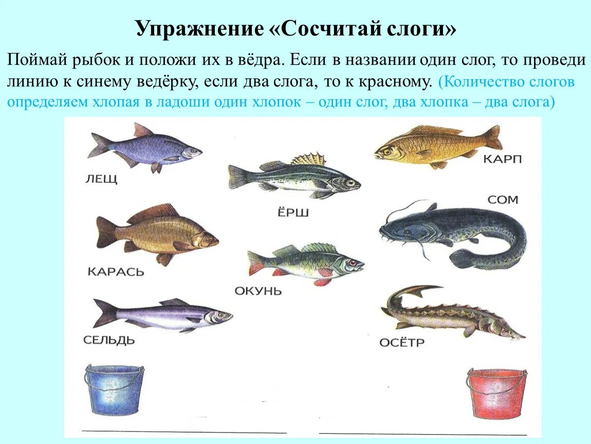 Рыбка на букву т. Название рыб. Рыбы с названиями для детей. Рыбы Пресноводные и морские для детей. Речные рыбки для дошкольников.