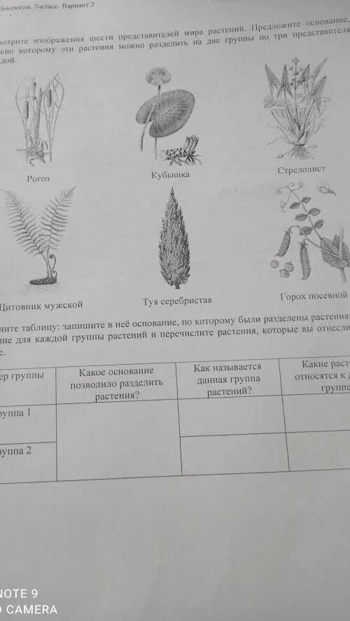 Рассмотрите изображение шести представи.