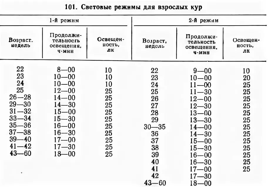 Температура курицы несушки. Норма площади посадки цыплят бройлеров. Норма посадки кур несушек на 1 кв. Световой режим для кур несушек. Клеточное содержание бройлеров норма посадки.