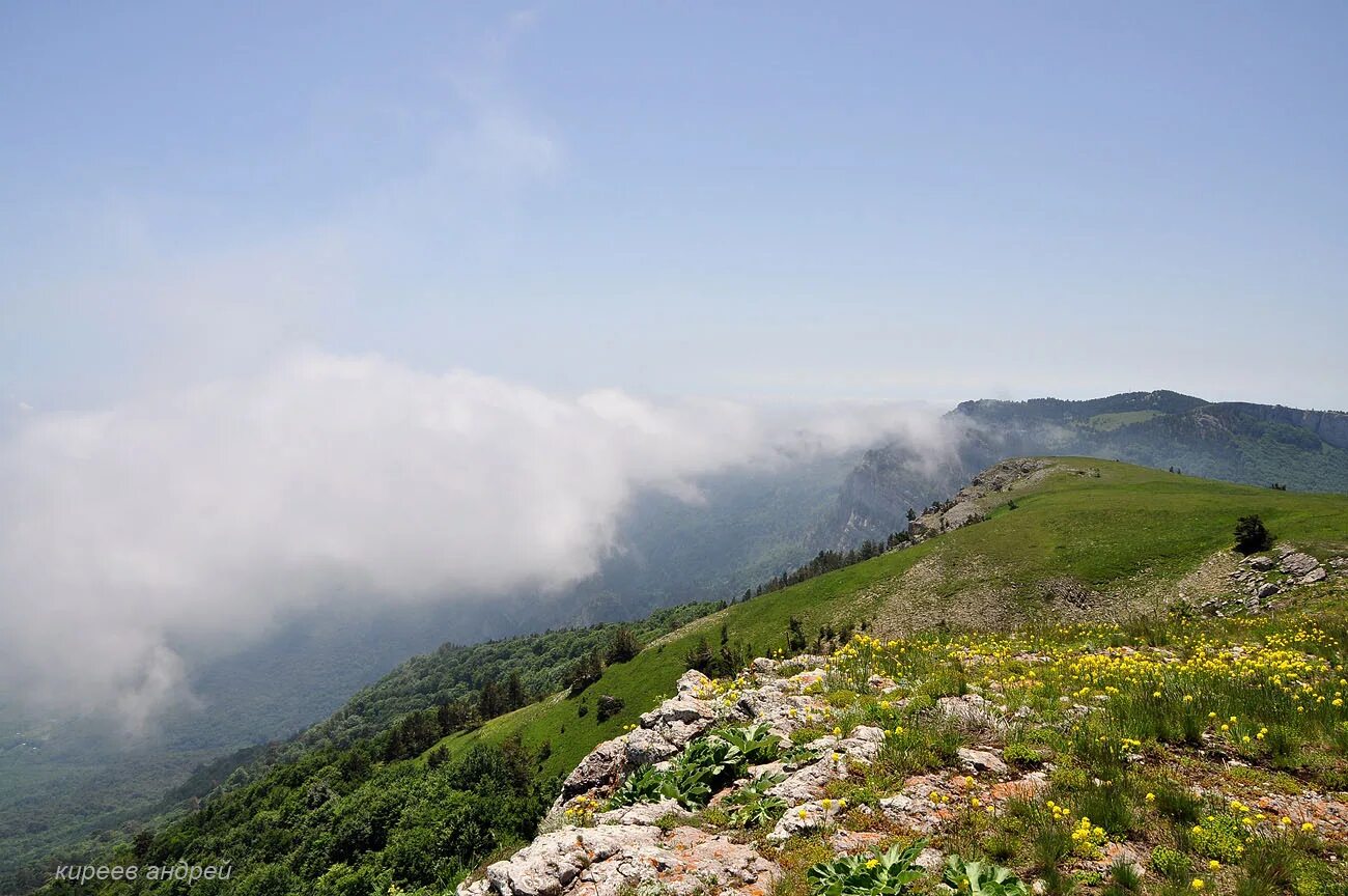 Крымский природный заповедник. Алуштинский Горно-Лесной заповедник. Крымский национальный заповедник Алушта. Крымский природный заповедник национальный парк. Крымский природный парк Алушта.