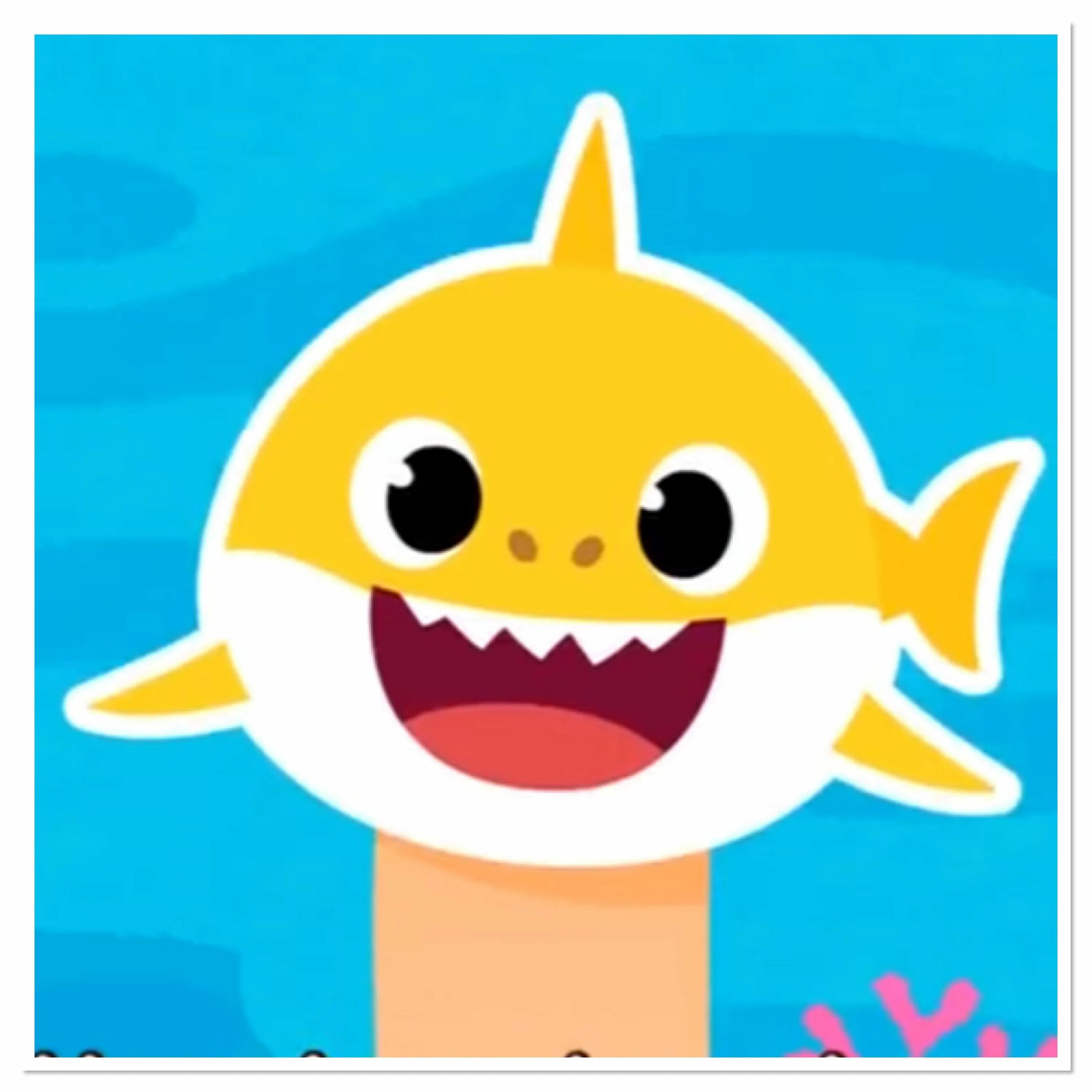 Baby shark акуленок игрушка. Акулёнок туруру герои. Акуленок baby. Акуленок baby. Акула бэби шарк.