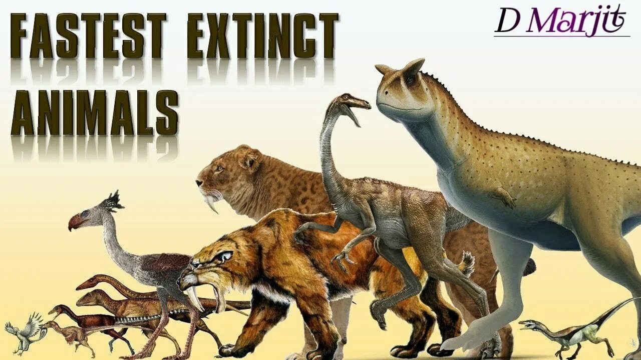 Become extinct. Гигантопик вымершие животные. Вымирающие животные 2023. Animals Extinction картинки.