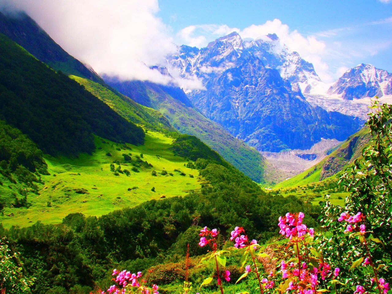 Цвет гималаи. Национальный парк Долины цветов, Уттаракханд. Индия Гималаи Нанда Деви Долина цветов. Долина цветов Индия национальный парк. Долина цветов в Гималаях.