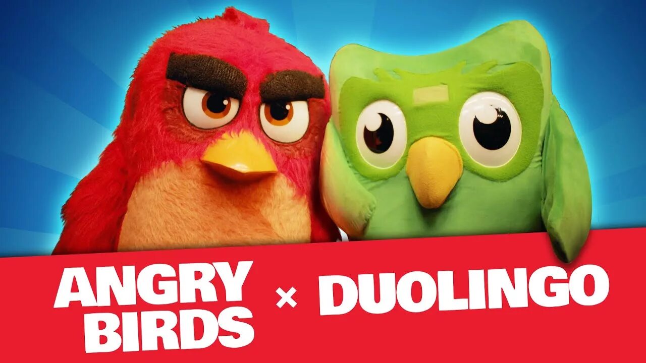 Дуолинго. Duolingo Angry Birds. Картинки Jeren название для Duolingo. Angry Birds 2 игра доулинго как получить.