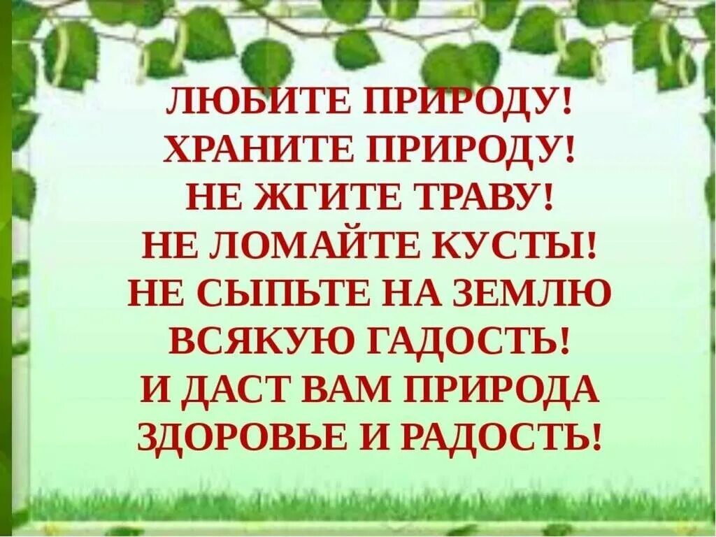 Красивые афоризмы о природе. Цитаты про природу. Природная красота цитаты. Высказывания о красоте природы. Красивые высказывания о природе.