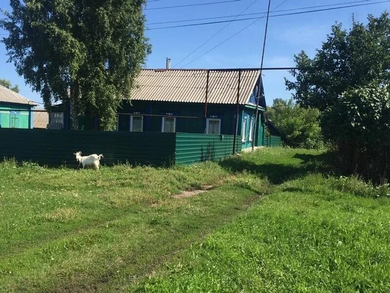 Погода ольшанка калининский район саратовской области. Село Ольшанка Аркадакский район. Ольшанка Саратовская область. Деревня Ольшанка Саратовская область. Деревня Беловка Аркадакский район.