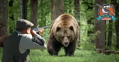Хороший медведь видео