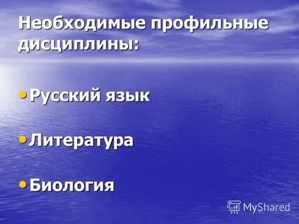Профильные дисциплины
