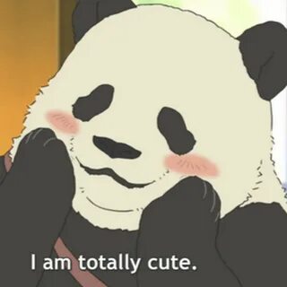 Ku panda