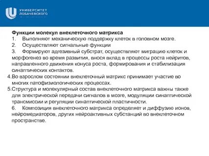 Функции молекул
