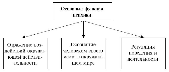 Функция психической организации. Функции психики схема. Понятие психики и ее основные функции. Психика функции психики. Понятие психики основные функции психики.