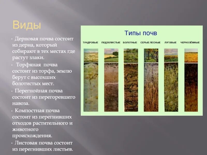 Почвы россии 4 класс 21 век презентация. Типы почв. Разные типы почв. Дерново-торфянистые почвы. Какие есть виды почв.