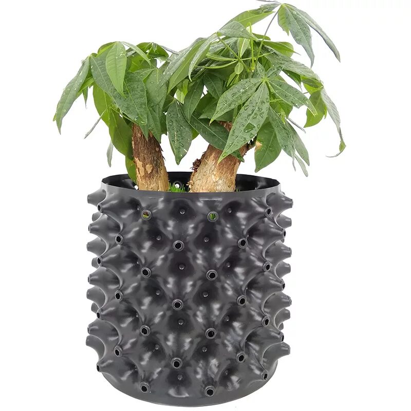 Контейнер root Air Pot. Root Pot горшки. Воздушный горшок для растений. АИР пот горшок. Купить air pot