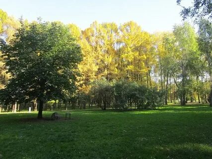 Времена года зеленый город