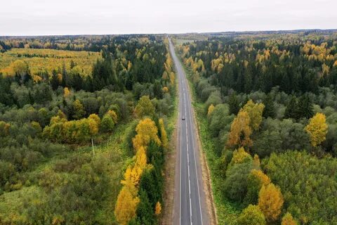 Тверь область дорога