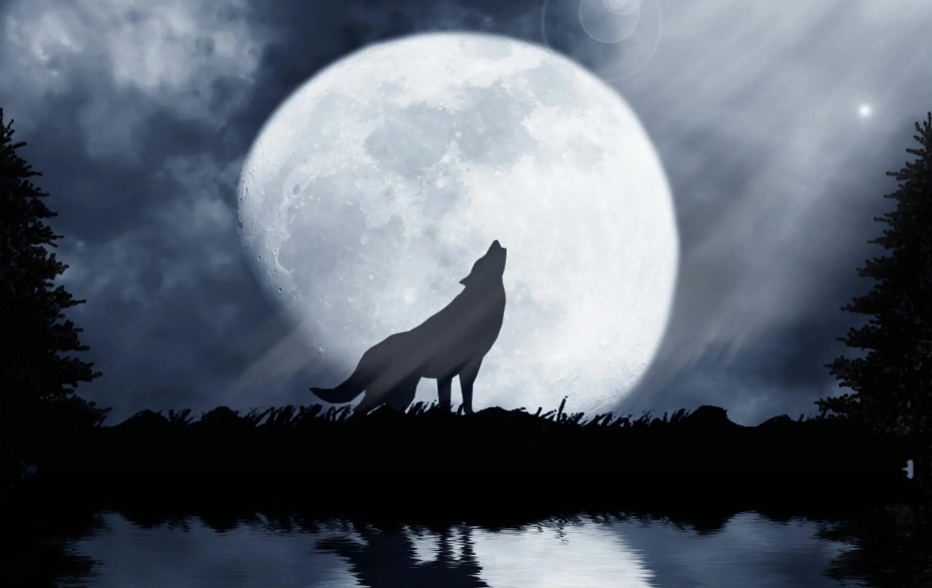 воющий волк. волк и луна. музыка воют на луну. музыка воют на луну. музыка воют на луну.