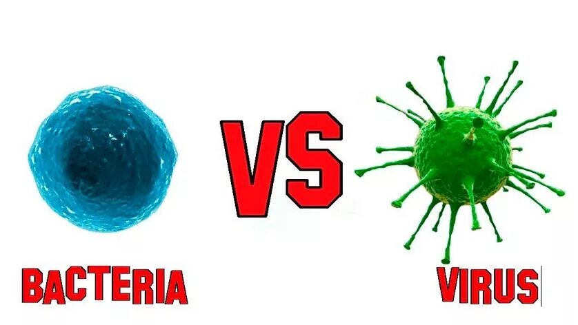 Boy vs bacteria. Virus vs virus