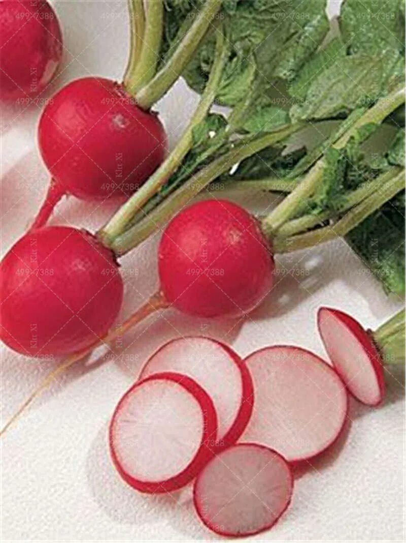 Редис красный. Редис 2. Редис 2. Редис красный 500г. Редис 2.