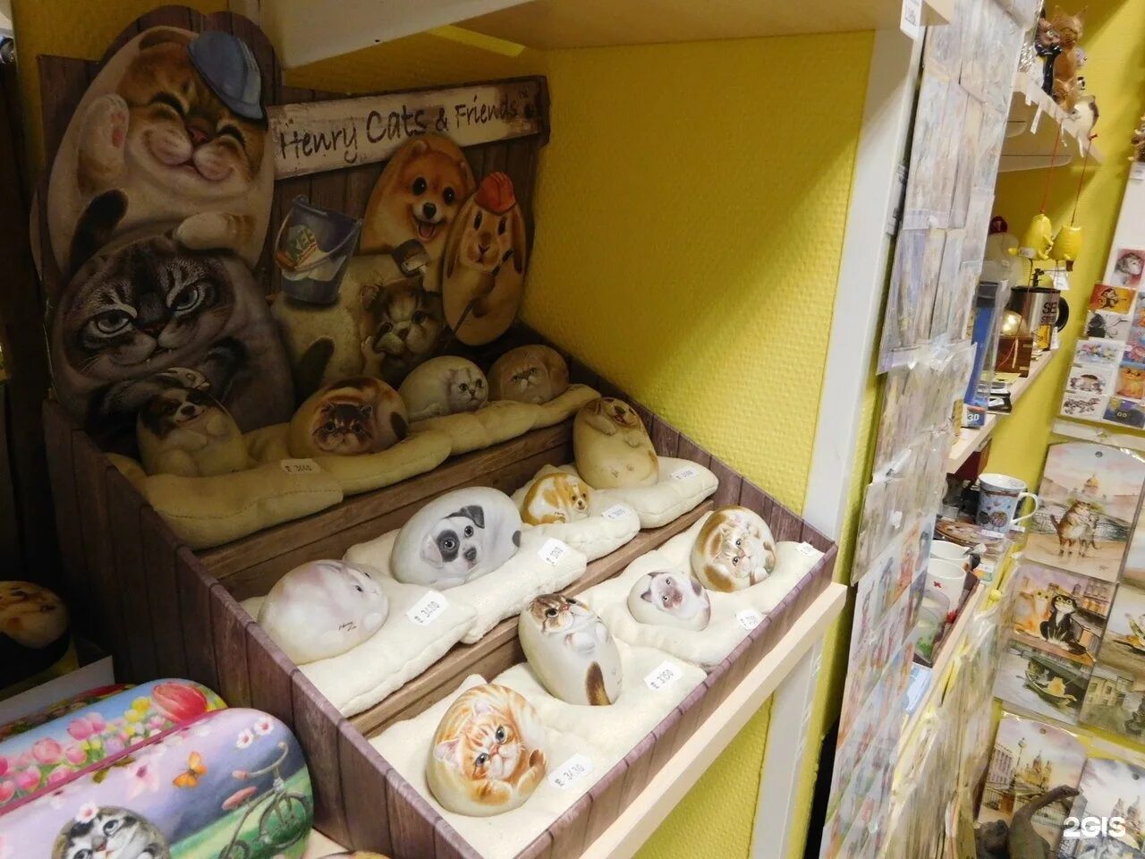 Cat store. Рубинштейна 30 Яшкин кот. Магазин Яшкин кот в Питере. Яшкин кот на Рубинштейна. Кошачий магазин.