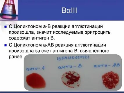 Проба на агглютинацию