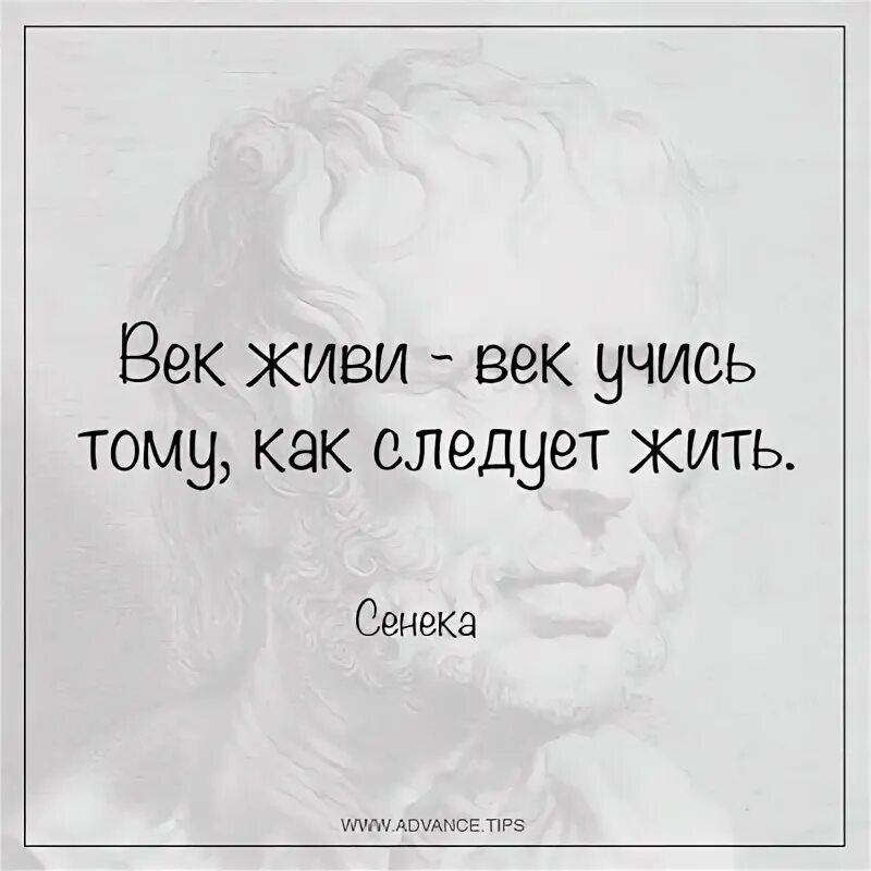 Век учись (Олег Васильев 5) / Проза.ру