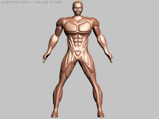 3 d моделька тв мена. Zbrush анатомия человека мышцы. 3д модель человека в одежде. 3д мускул. 3d модель man.