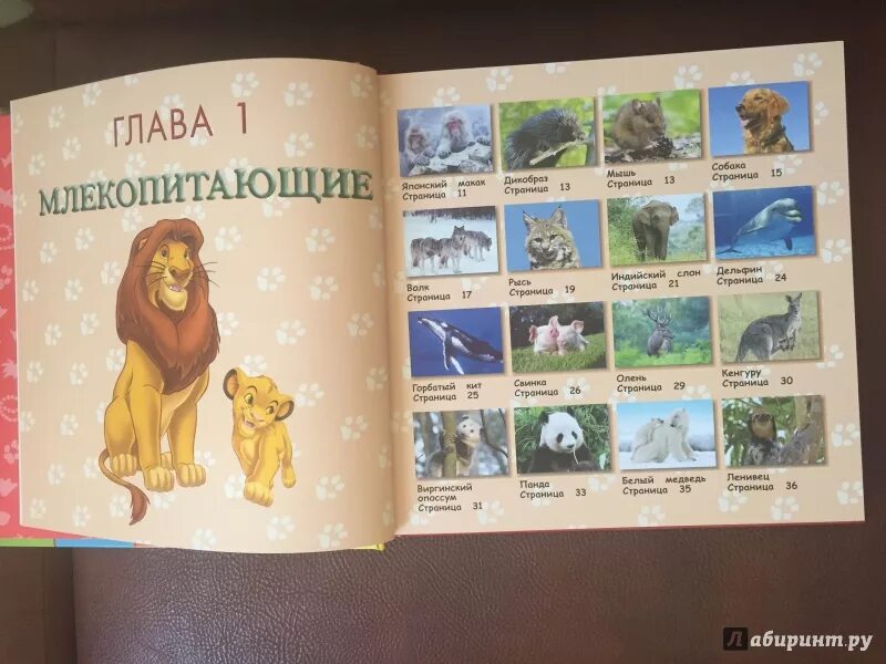 Мои животные читать. Мои животные читать