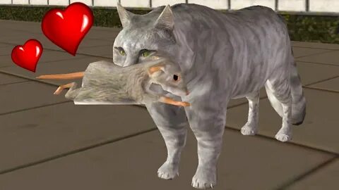 Коты победили игра