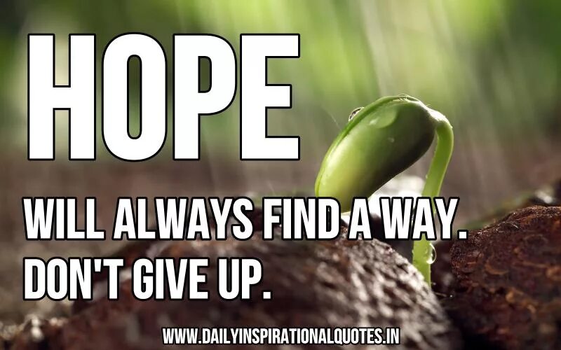 Life found a way. Hope would. Giving hope. Way dont. Always find.