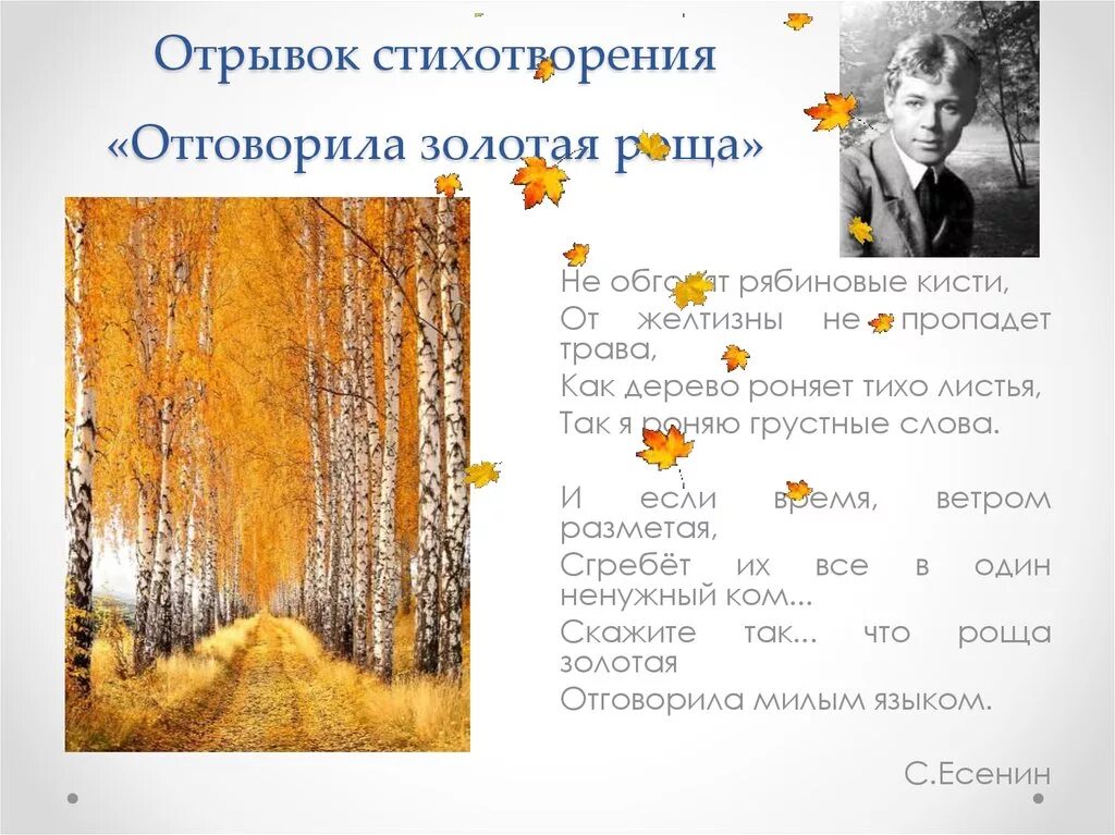Отрывок из стихотворения. Стихи Есенина про осень. Отрывки от стихотворения. Стихотворение роща Золотая.