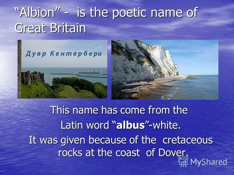 Name that has. Name that has. задания по английскому тема овощи дошкольники. имена. Certificate of completion of the course.