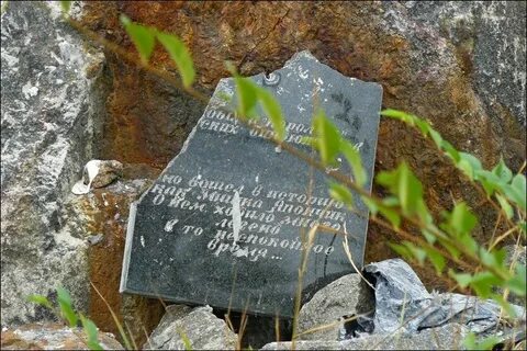 Жизнь мишки япончика где снимали