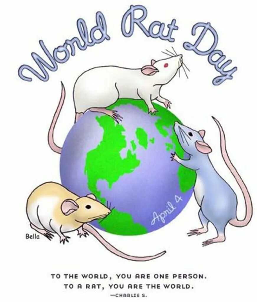 Всемирный день крысы 4 апреля. 4 Апреля – Всемирный день крысы (World rat Day). Всемирный день крысы открытки. Всемирный день крысы поздравления.