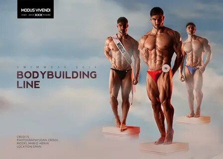 Modus vivendi перевод