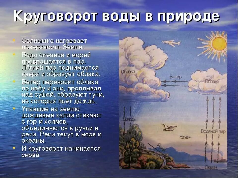 Круговорот воды в природе 3. Круговорот воды доклад. Рассказ о круговороте воды в природе. Сообщение о круговороте воды. Этапы формирования круговорота воды