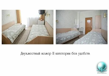 Оса жемчужина 2024