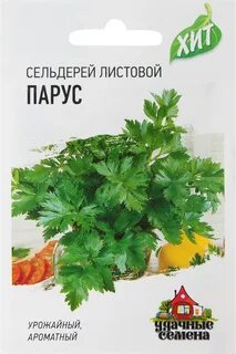 Сельдерей парус листовой