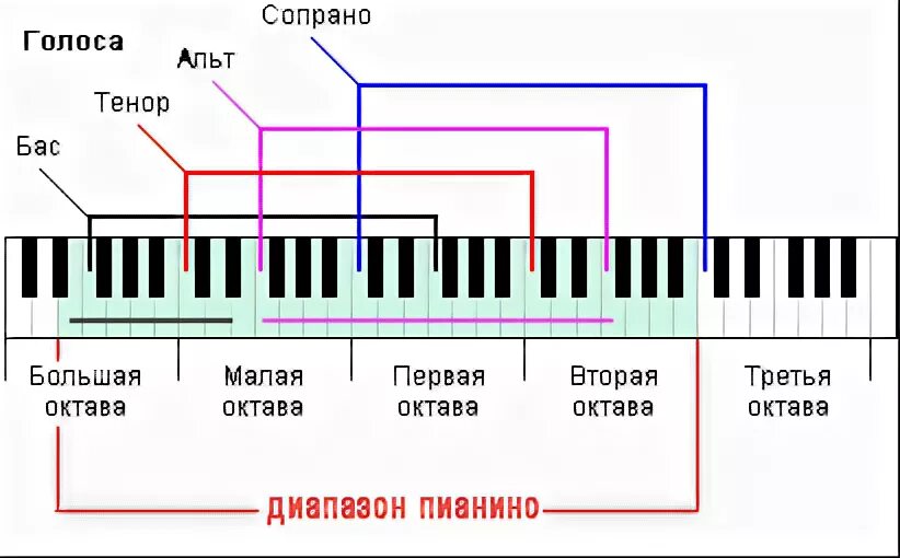 Малая Октава диапазон голоса. Вокальные диапазоны октавы. Диапазон пианино бас тенор. Диапазон 3,5 октавы. Октава инструкция