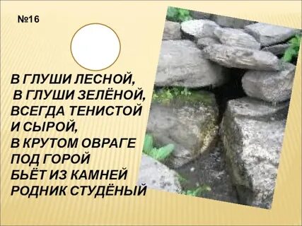 Текст в лесной глуши