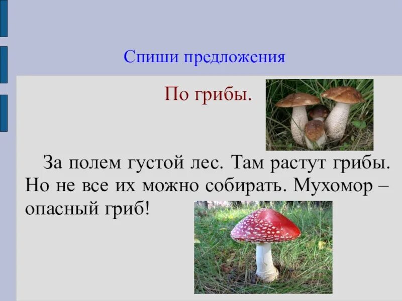 Собери слова грибы. Предложение про грибы. Предложения про грибы 3 класс. Два предложения про грибы. Предложения о грибах 2 класс.