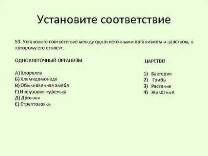 Установите соответствие между царствами и их характеристиками