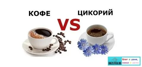 Цикорий вместо кофе сканворд 5