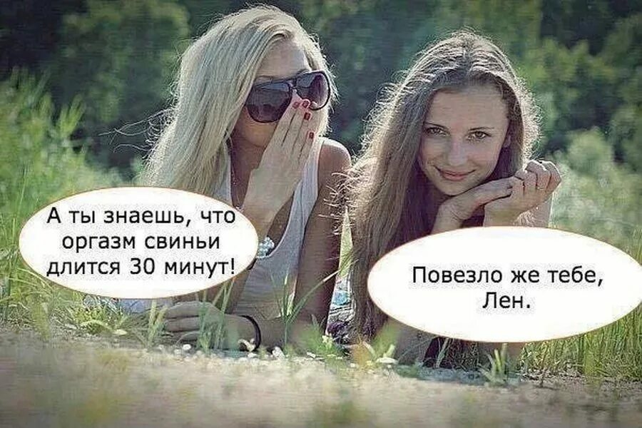 смешные картинки с надписями. картинки смешные приколы. смешные лица котов. смешные картинки с надписями до слёз. приколы картинки с надписями.